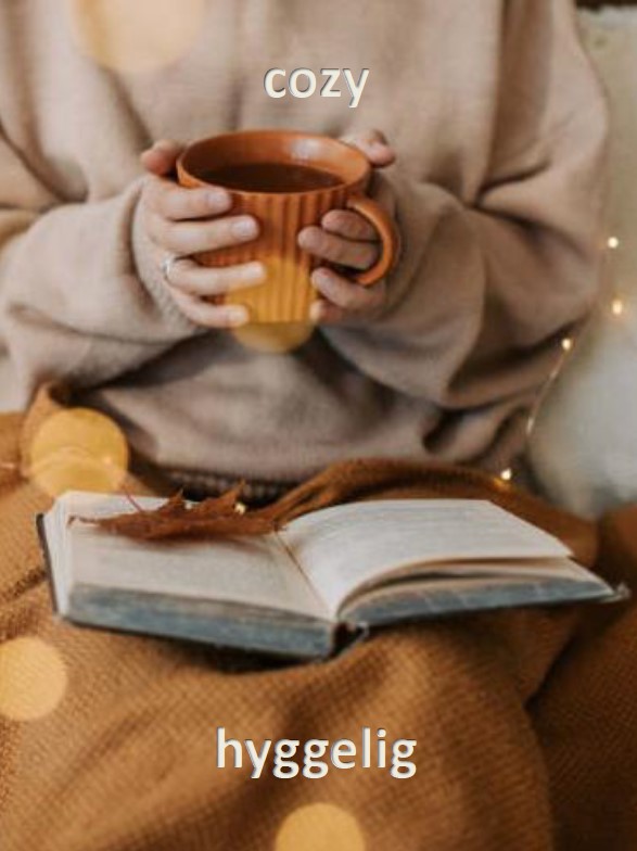 {#Cozy Hyggelig}